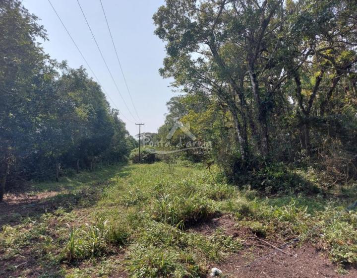 Terrenos em Pontal do SUL